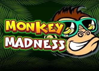 monkey-madness-slot